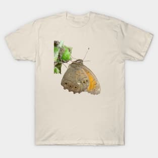 Meadow Brown Butterfly Feeding On Aphids T-Shirt